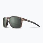 Sunglasses Julbo Compass Polarized brown translu brillant/army dark