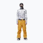 Picture Picture Object 20/20 Camel men's ski trousers MPT114