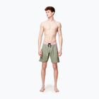 Men's Picture Journy 19'' green spray swim shorts
