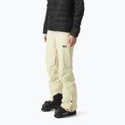 Women's ski trousers Picture Exa 20/20 wood ash