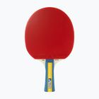 JOOLA Team Master table tennis racket