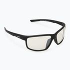 Alpina sunglasses