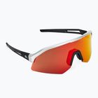 Alpina Sonic Q-Lite aluminium matt/green mirror sunglasses