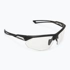 Alpina Nylos HR black transparent matt/ clear sunglasses