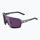 Sunglasses Alpina Lumin gun/metall matt/pink