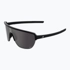 Sunglasses Alpina Ram 2.0 Q-Lite black matt / silver mirror