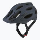 Bicycle helmet Alpina Carapax 2.0 navy smoke matte