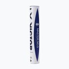 Badminton shuttlecocks VICTOR No 5 12pcs