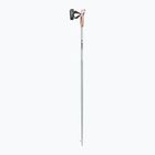 LEKI Passion Nordic walking poles white and green 65325251100