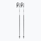 Women's ski poles LEKI Bliss silvergrey/white/rose gold