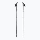 Trekking poles LEKI Sherpa FX Carbon Strong black/naturalcarbon/light anthracite