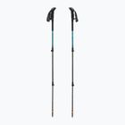 Trekking poles LEKI Makalu Lite AS greenblue light/greenblue dark