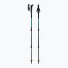 Trekking poles LEKI Makalu Lite AS greenblue light/greenblue dark