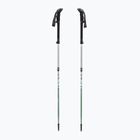 Trekking poles LEKI Makalu FX TA silver/greygreen/white
