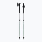 Trekking poles LEKI Makalu FX TA silver/greygreen/white