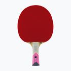 Tibhar XXX Szocs table tennis racket