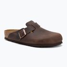 BIRKENSTOCK Boston LEOI Regular habana flip-flops