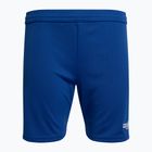 Capelli Sport Cs One Youth Match football shorts royal blue/white