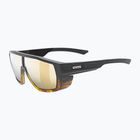 UVEX Mtn Style CV havanna matt fade/mirror champagne sunglasses