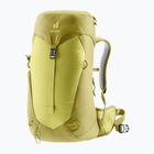 Women's hiking backpack deuter AC Lite 22 l SL sprout/linden