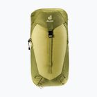 Hiking backpack deuter AC Lite 24 l linden/cactus