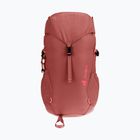 Deuter Climber 22 l redwood/hibiscus children's hiking backpack