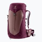 Women's hiking backpack deuter AC Lite 22 l SL ashrose-cassis
