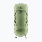 Women's trekking backpack deuter Aircontact Lite 45 + 10 SL grove/ivy