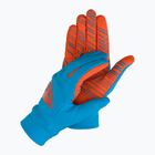 DYNAFIT Upcycled Thermal ski glove blue-red 08-0000071369