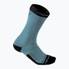DYNAFIT Ultra Cushion blue running socks 08-0000070878