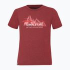 Salewa Simple Life Dry children's trekking shirt red 00-0000027774