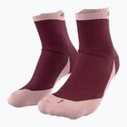 DYNAFIT Transalper burgundy running socks