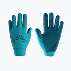 Gloves DYNAFIT Upcycled Thermal Silvretta