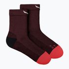 Men's socks Salewa MTN TRN AM Syrah