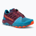 Men's DYNAFIT Alpine Pro 2 running shoe storm blue/burgundy