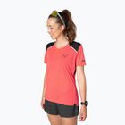 Women's running top DYNAFIT Sky cabana