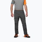 Men's trekking trousers Salewa Nxt Dst onyx