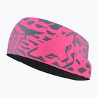 Headband DYNAFIT Graphic Performance cheeky pink/0720 leo