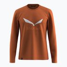 Men's long-sleeve Salewa Solidlogo Dry Bombay Brown