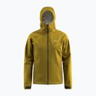 Men's waterproof jacket Salewa Puez Aqua 4 PTX 2.5L olive oil/0910