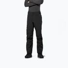 Men's membrane trousers Salewa Ortles GTX 3L EPE black out