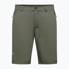 Men's trekking shorts Salewa Puez Talveno DST faded green
