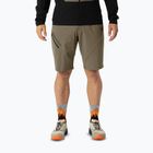 Men's trekking shorts DYNAFIT Traverse Hybrid fallen rock/0910