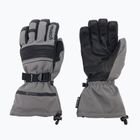 Reusch Isidro GTX grey ski glove 49/01/319