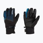 Ski glove Reusch Blaster Gore-Tex dress blue/black