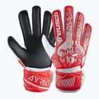 Goalkeeper glove Reusch Attrakt Solid poland