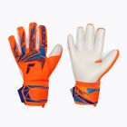 Goalkeeper gloves Reusch Attrakt Freegel Advance shocking orange/blue