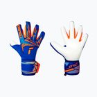 Goalkeeper gloves Reusch Attrakt Freegel Advance sharp blue/shocking orange