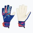 Children's goalkeeper gloves Reusch Attrakt Gold X NC Junior sharp blue/white/shocking orange