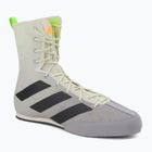 adidas Box Hog 3 boxing shoes grey FV6584